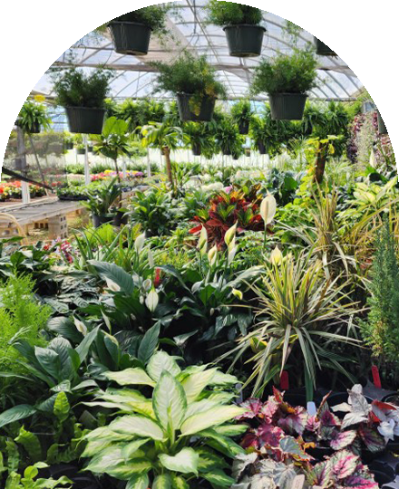 Every-Occasion-Image-05