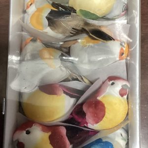 Birds pack of 12