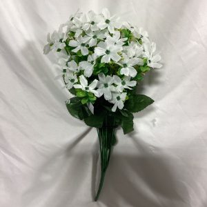 Mixed dianthus Box Wood bush