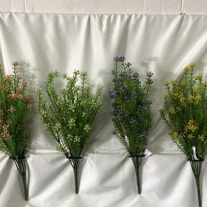 Seeded Peppergrass Bush