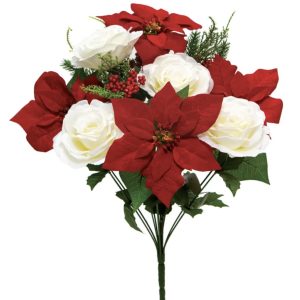 Poinsettia Rose Bush