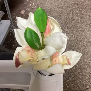 Wedding Orchid Pick Cymbidium