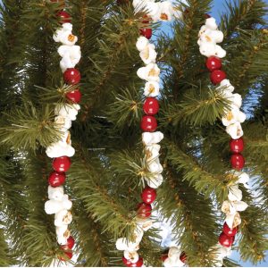 Popcorn Cranberry Garland
