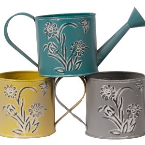 assorted spring embossed water can 6.5"