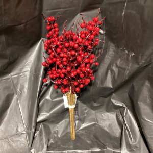 Berry spray bundle red 14”