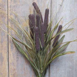 Cattail Bush with Grass