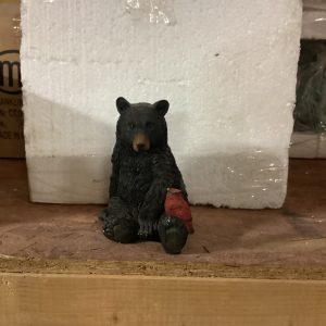 Black Bear w/ Cardinal
