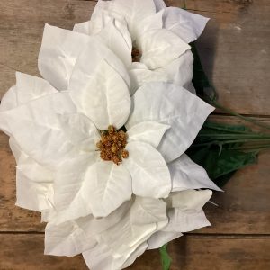 Poinsettia Water-Resistant Bush