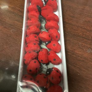 Ladybugs
