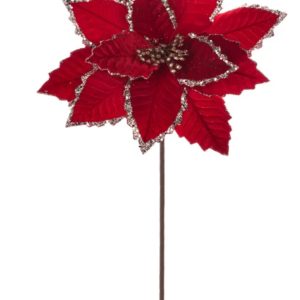 Velvet Poinsettia