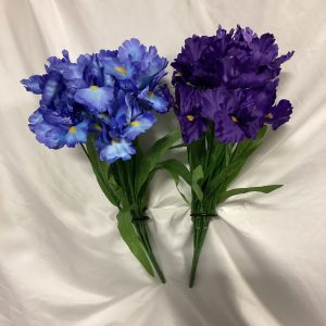Iris Bush Assortment