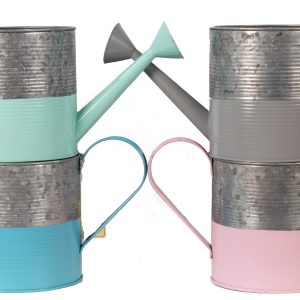 assorted color watering can 6.5"