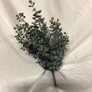 Euc bush with berries