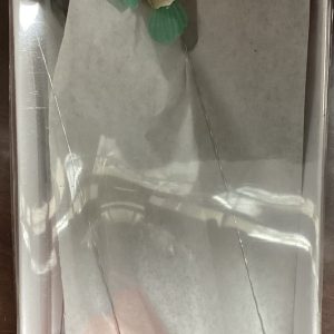 Small Hummingbird picks