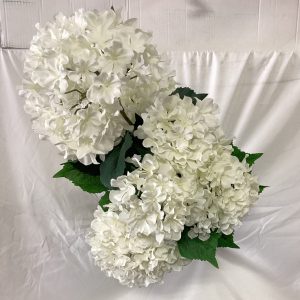 Disolay Hydrangea Bush White 30”