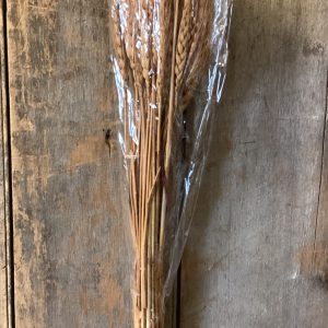 Dried Wheat Bundle
