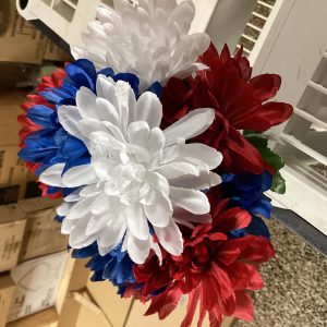 Red/white/blue mum bush