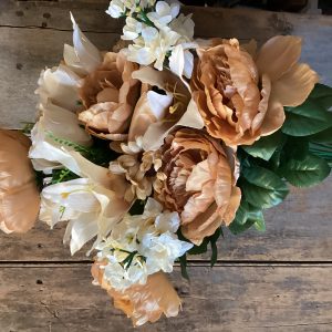 Cabbage Rose Daylily Stock Bush