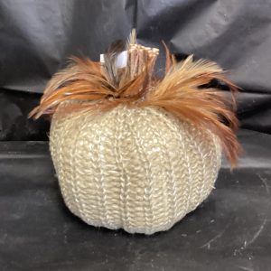 Feather Pumpkins