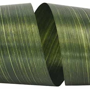 Aspidistra Leaf Ribbon