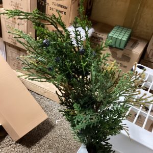 Naturalistic juniper branch with berries