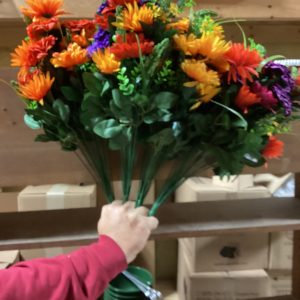 Gerbera/Marigold/Daisy Bush