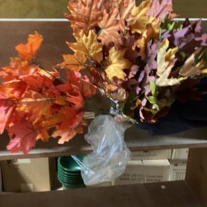 Sugar Maple Leaf Bush