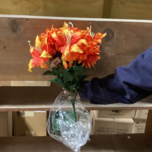 Mum/Lily/Astilbe Bush