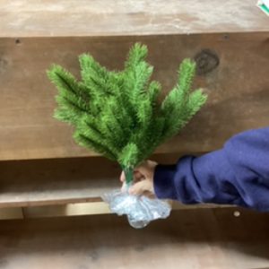 Variation #8012 of Angel Pine