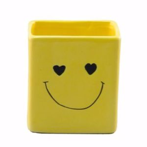 Smiley Face Planter