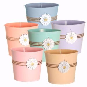 Small Pastel Daisy/Rope Metal Potcover