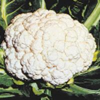 Cauliflower