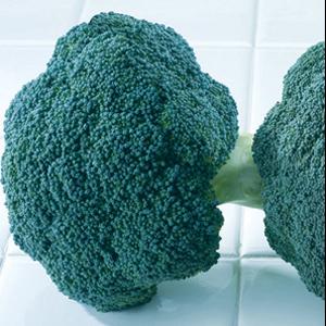 Broccoli Destiny