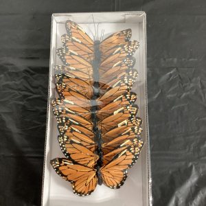 Monarch butterfly