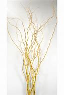 Curly Willow Tips