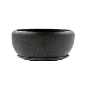 Large Speckle Pot with Saucer