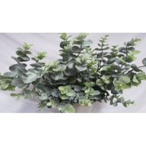 Blended Eucalyptus Bush