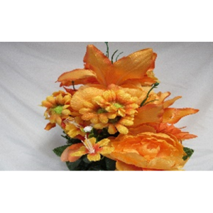 Lily/dahlia/Peony Bush