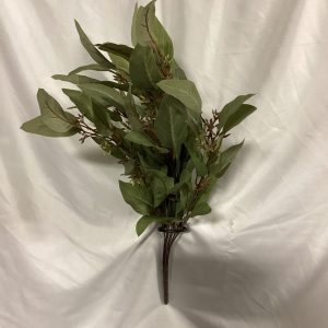 Natural Seeded Eucalyptus Bush