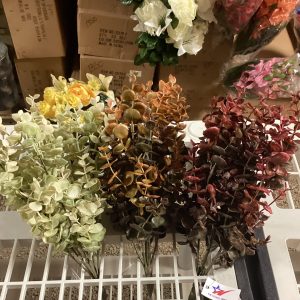 Novelty Baby EUC ASST Colors