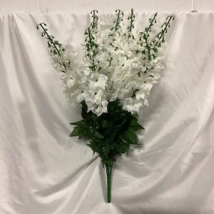 Garden Delphinium Bush