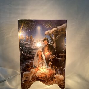 Lighted Nativity Block