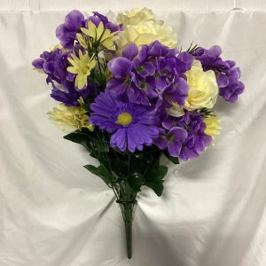 Hydrangea Rose Gerber bush