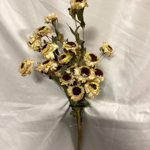 Dried daisy bundle