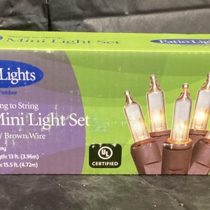 String of Lights 50 Mini Lights