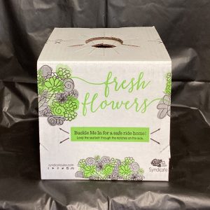 Small buckle me in Vase Carrier