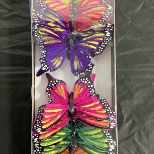 Feather butterfly 5” box 12