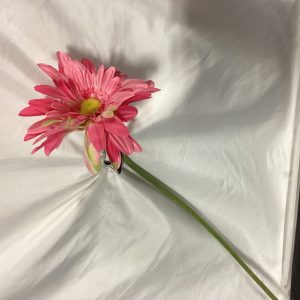 Jumbo Gerber Single pink