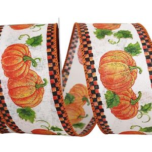 Pumpkin Patch with Ticking Ribbon