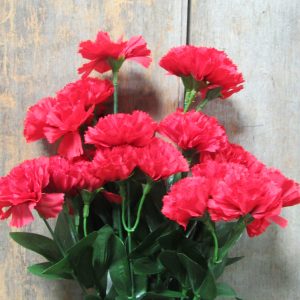 Mini Carnation